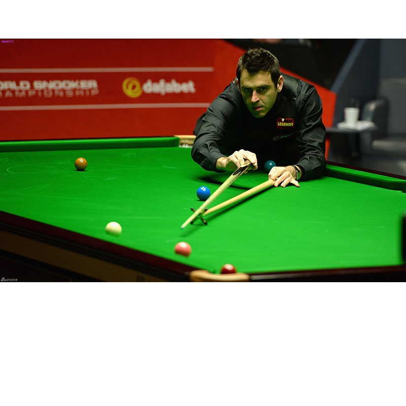 不可忽视的 不可忽视的