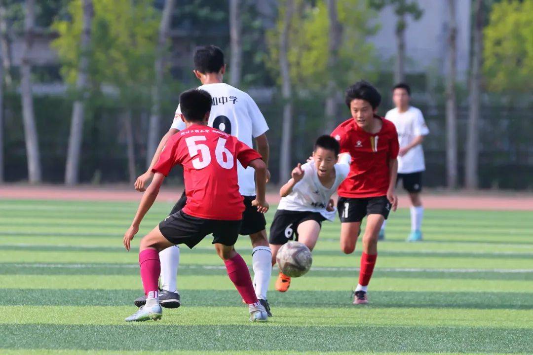 迷通过可视